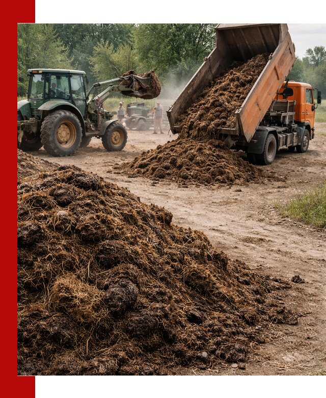 Доставка навоза самосвалами в Старой Руссе для сельхозпотребностей